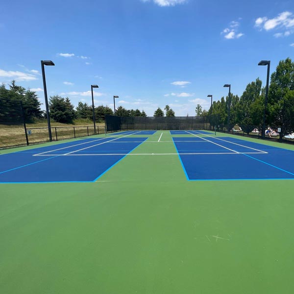 Chicago Pickleball court expert